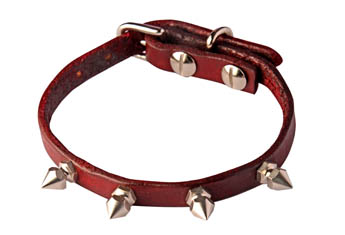 1/2 inch  spike collar