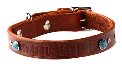 Dog collar with your pet's name